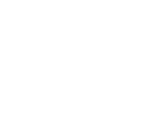 Black River Partners